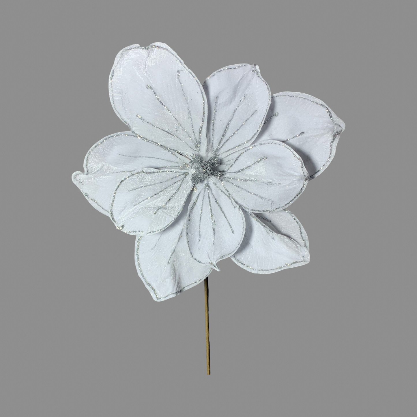 Magnolia blanca