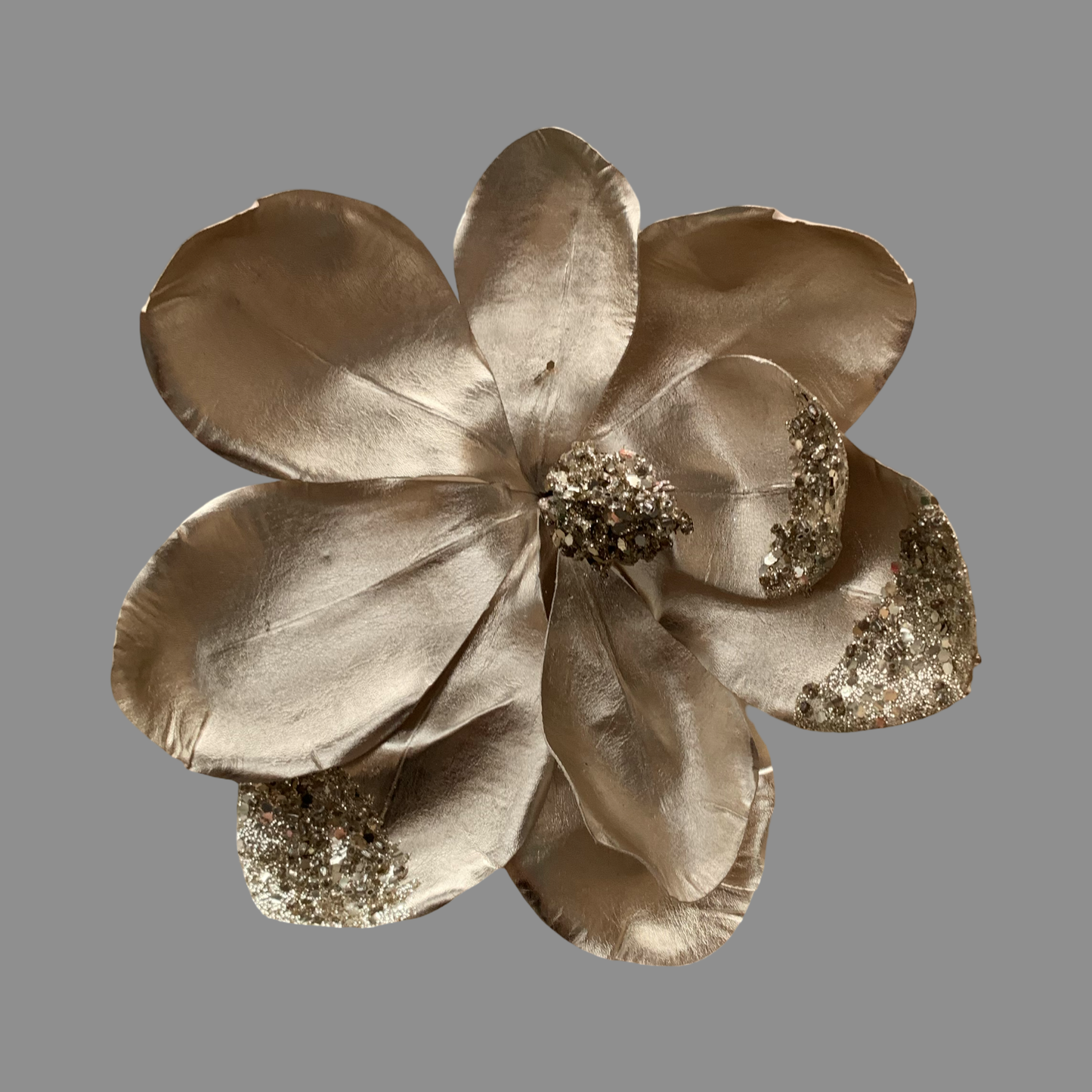 Magnolia dorada