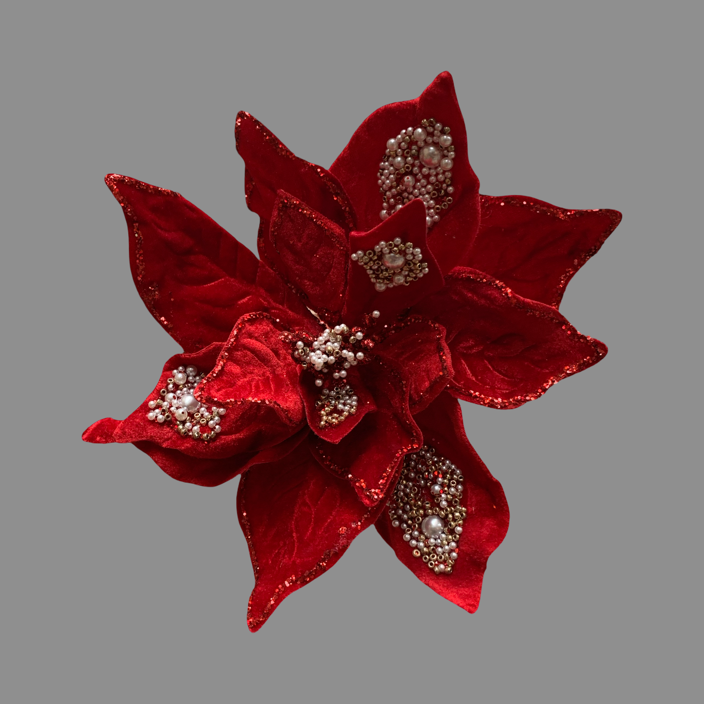 Noche buena roja/piedras