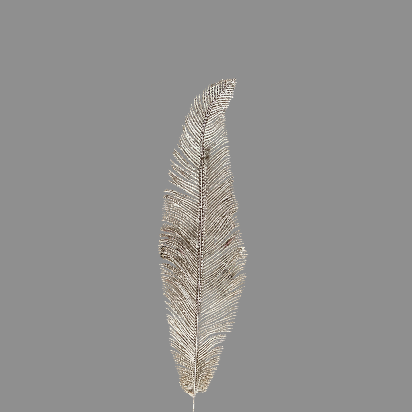 Hoja de pluma champagne