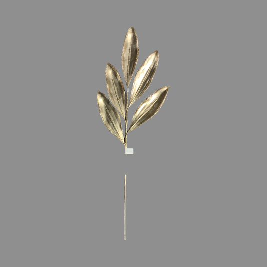 Hoja de alga dorada ￼