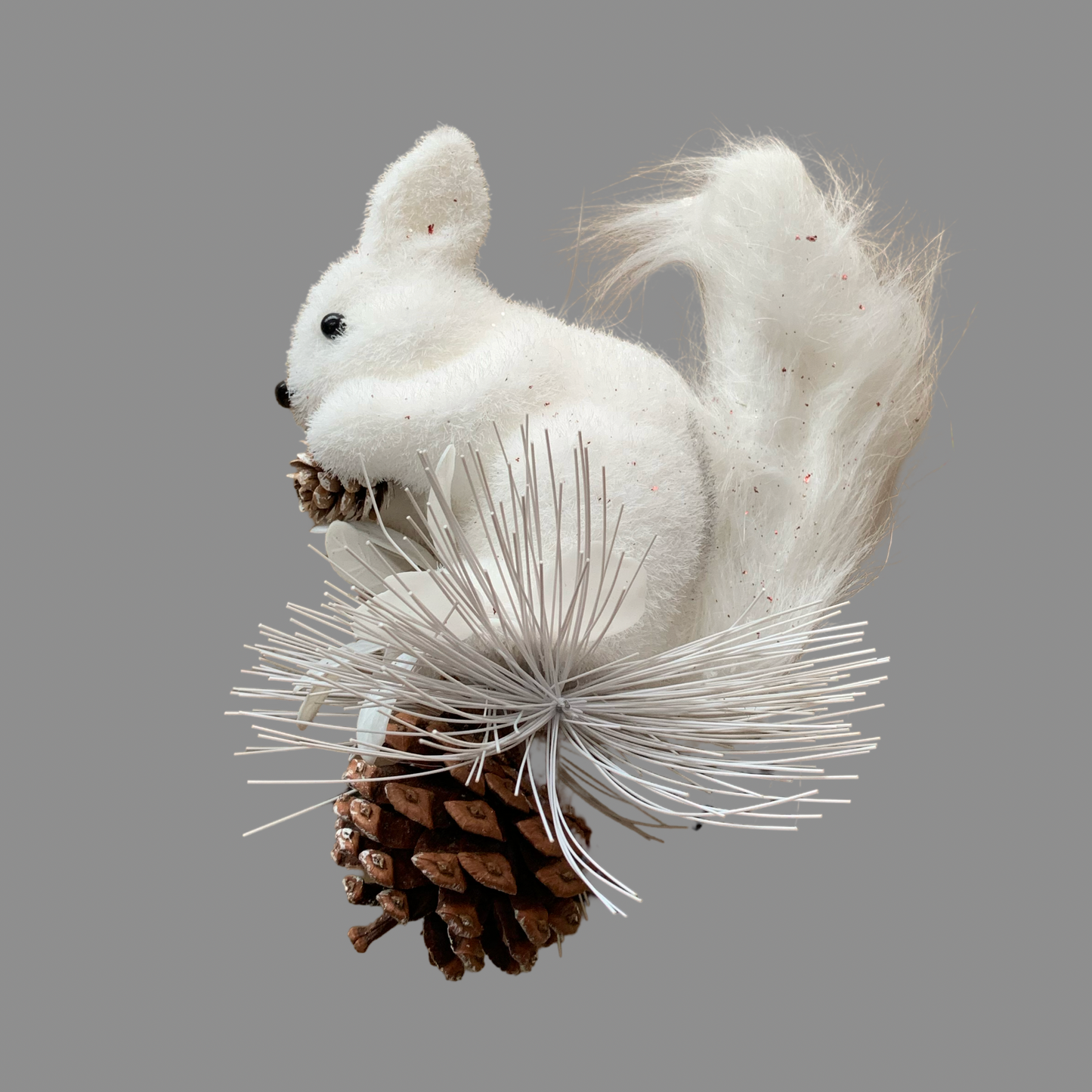 Ardilla de árbol c/piña