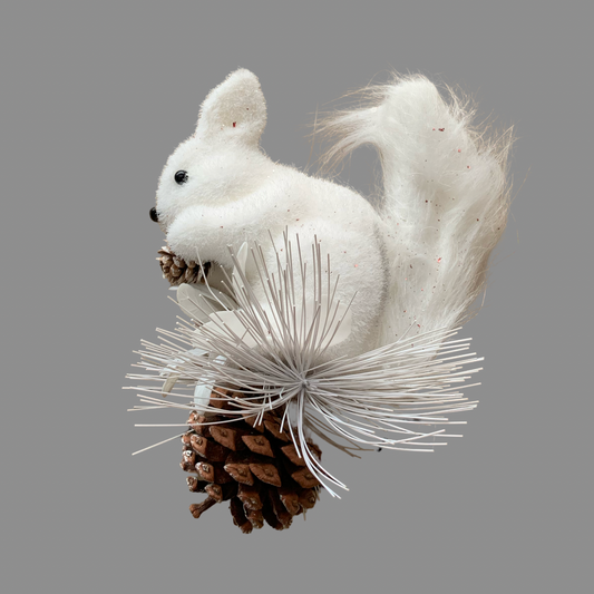 Ardilla de árbol c/piña