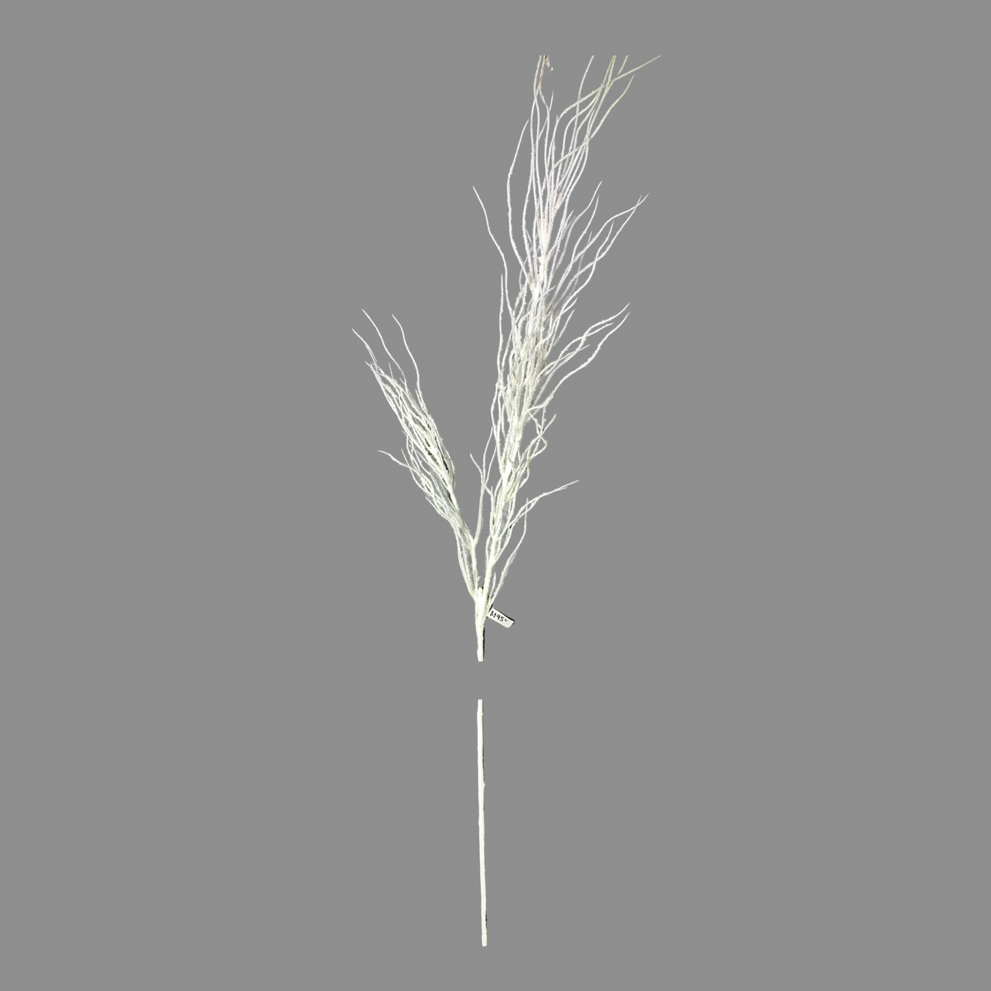 Willo blanco