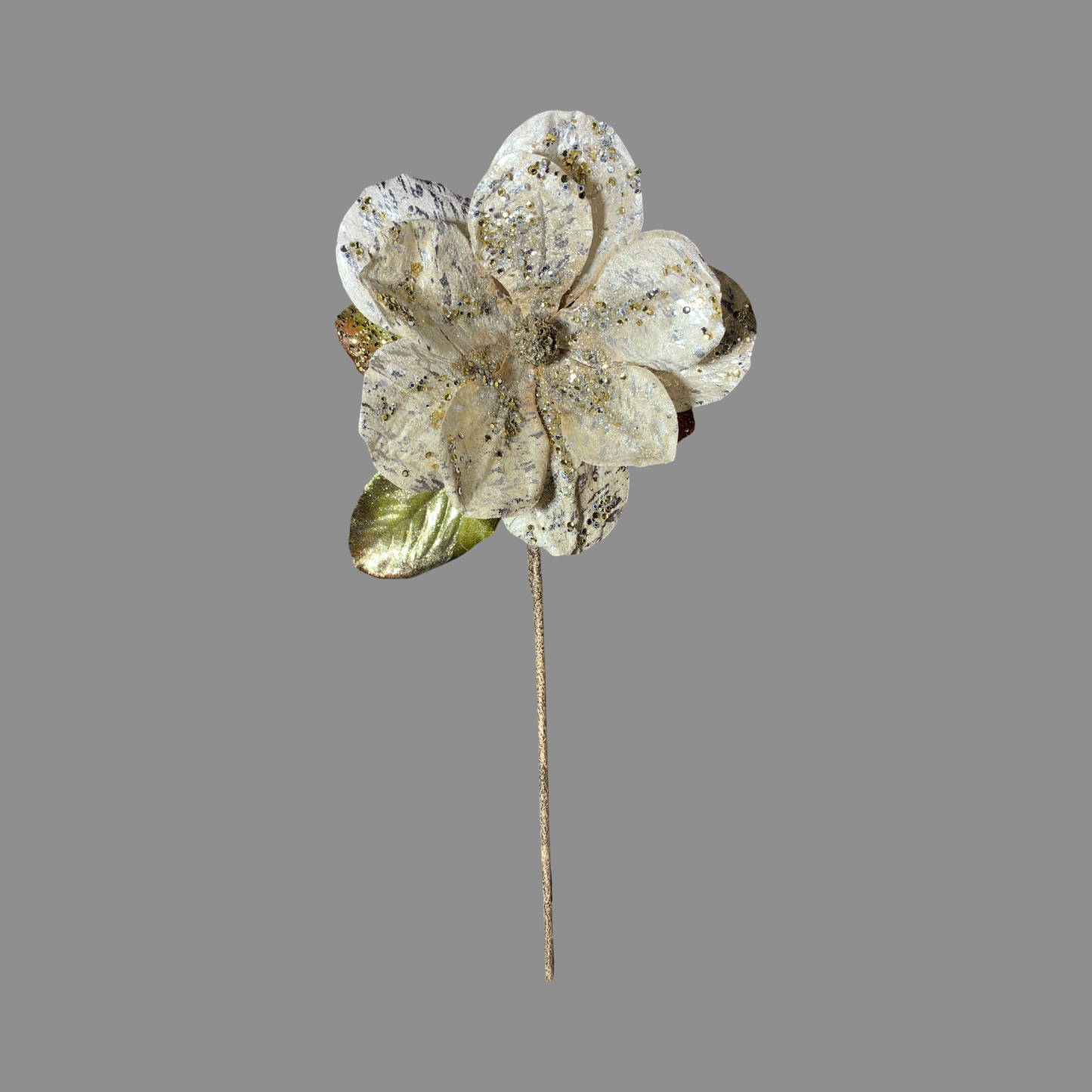 Magnolia crema