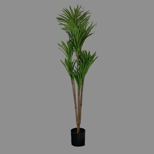 Árbol Palo de brasil
