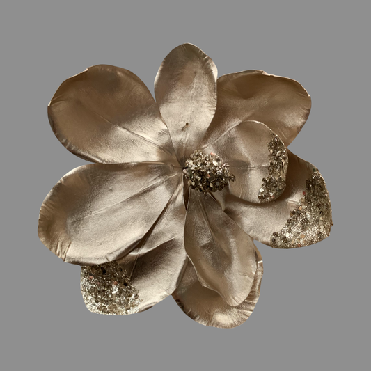 Magnolia dorada