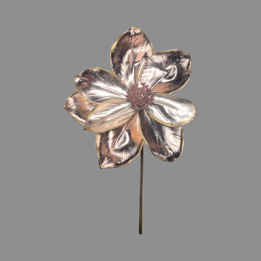 Magnolia Rosa