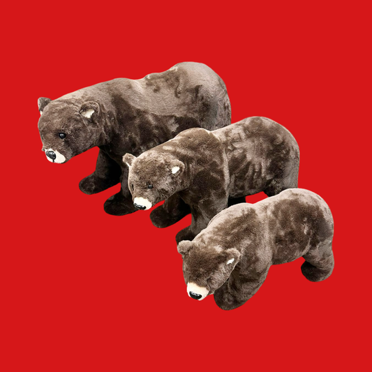 Oso Grizzly