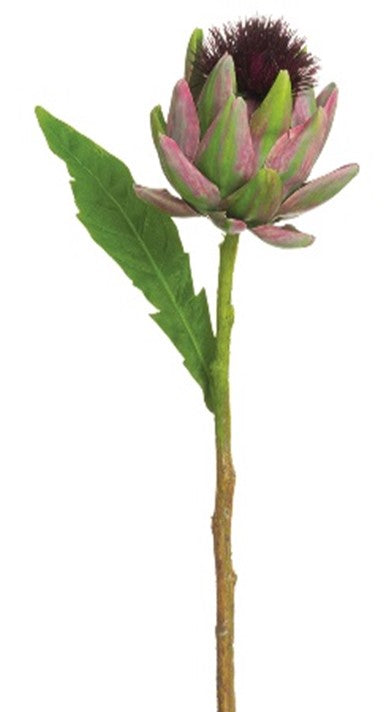 Vara alcachofa verde/tinta