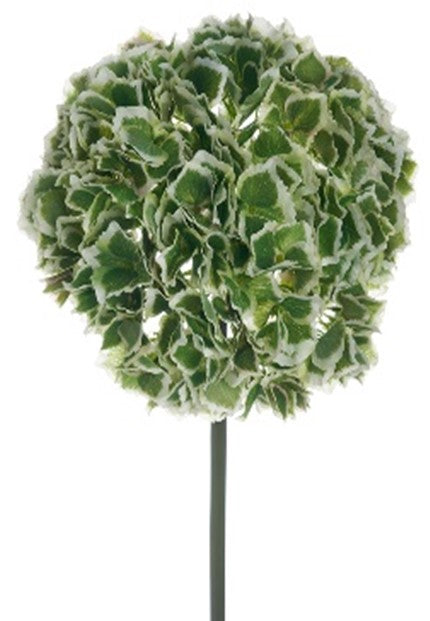 Hortensia verde/blanco