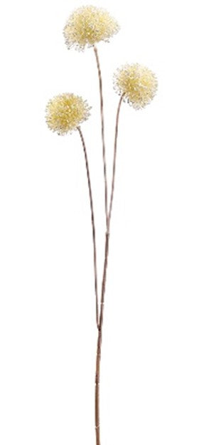 Alium mini crema x3